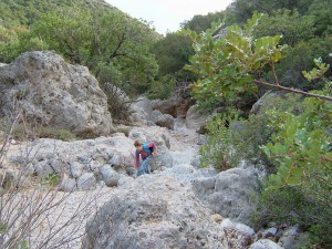 dukan diet anidri gorge